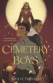 Cover of Cemetery Boys