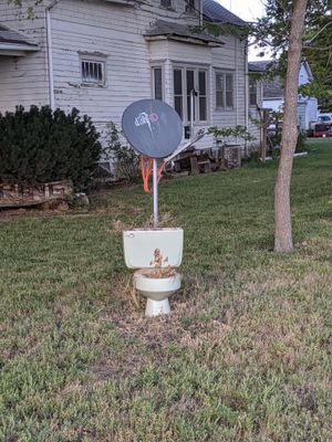 a DirectTv satelite dish sticks out of a toilet in the yard of a house. the toilet has decaying plant matter in it, too.