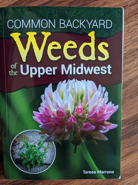 The book 'Common Backyard Weeds of the Upper Midwest' by Teresa Marrone